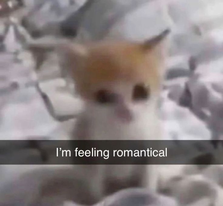 i drink soup tweet media