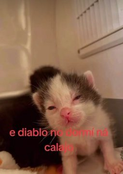 Pensamientos (@frasesimple) on Twitter photo 