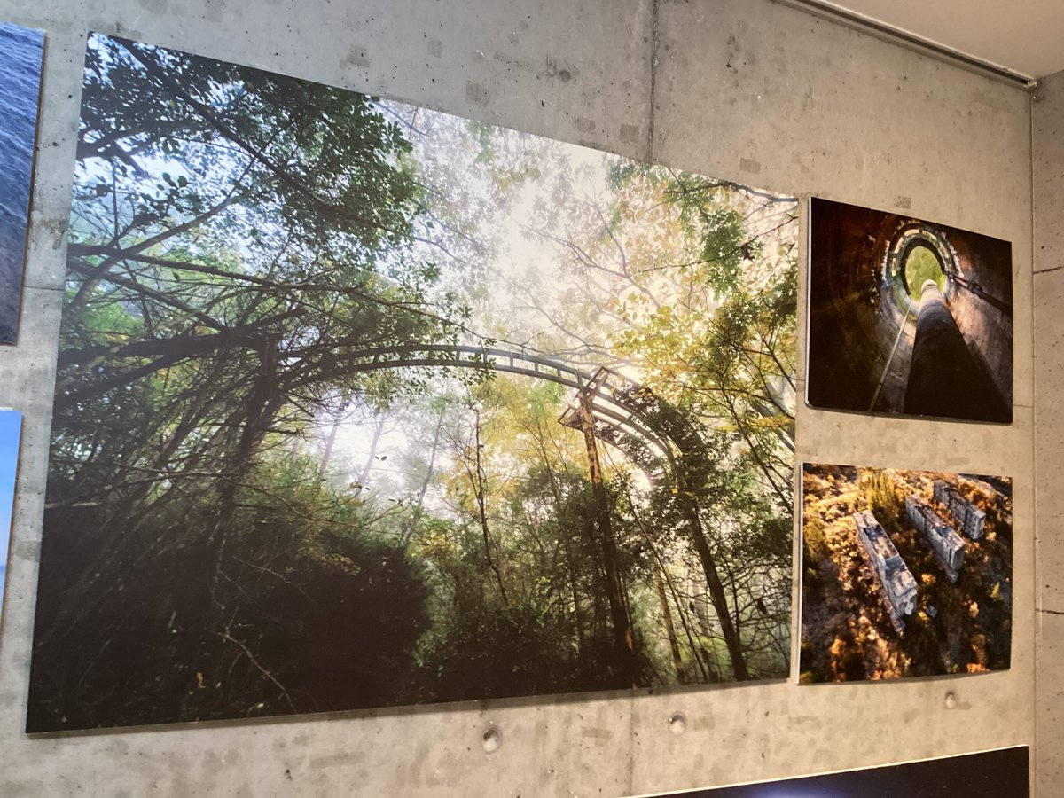 TODAYS GALLERY STUDIO.公式(TOKYO & NAGOYA) tweet media