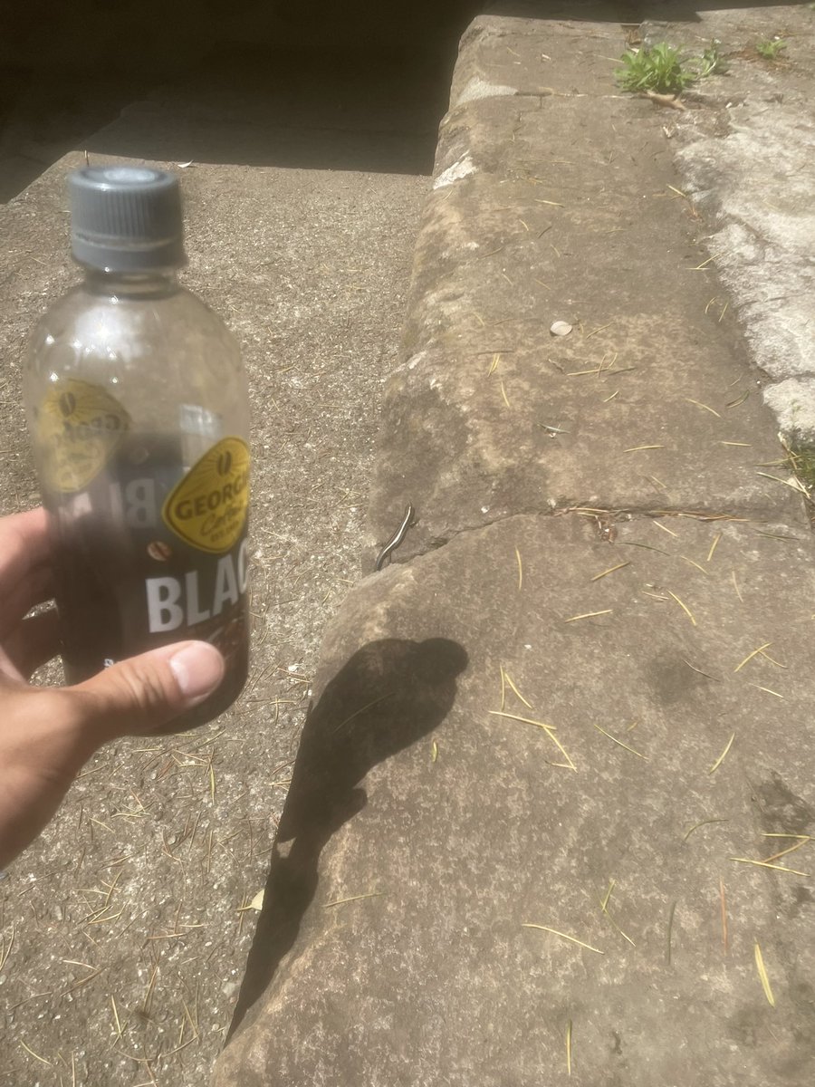 カワサキケイマ@5/3 東京ノミの市in代々木 tweet media