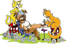 puppyexpress_lv's tweet image. One text and we’re on the way. Freshly groomed dog, zero effort from you. That’s the Puppy Express difference. Book now and thank yourself later. thepuppyexpress.com #MobileGrooming #DogGrooming