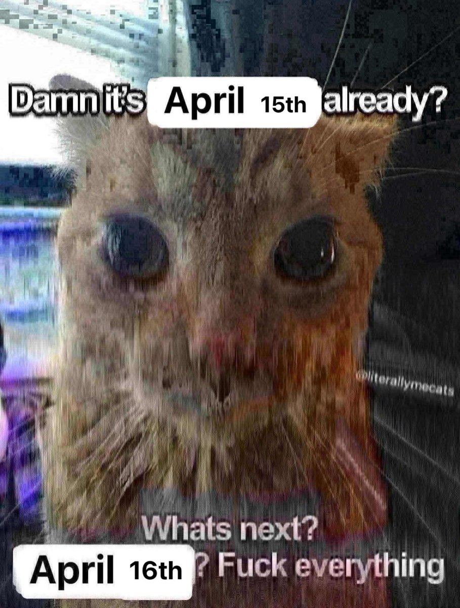 Alien Perspective (@wigglyair) on Twitter photo 