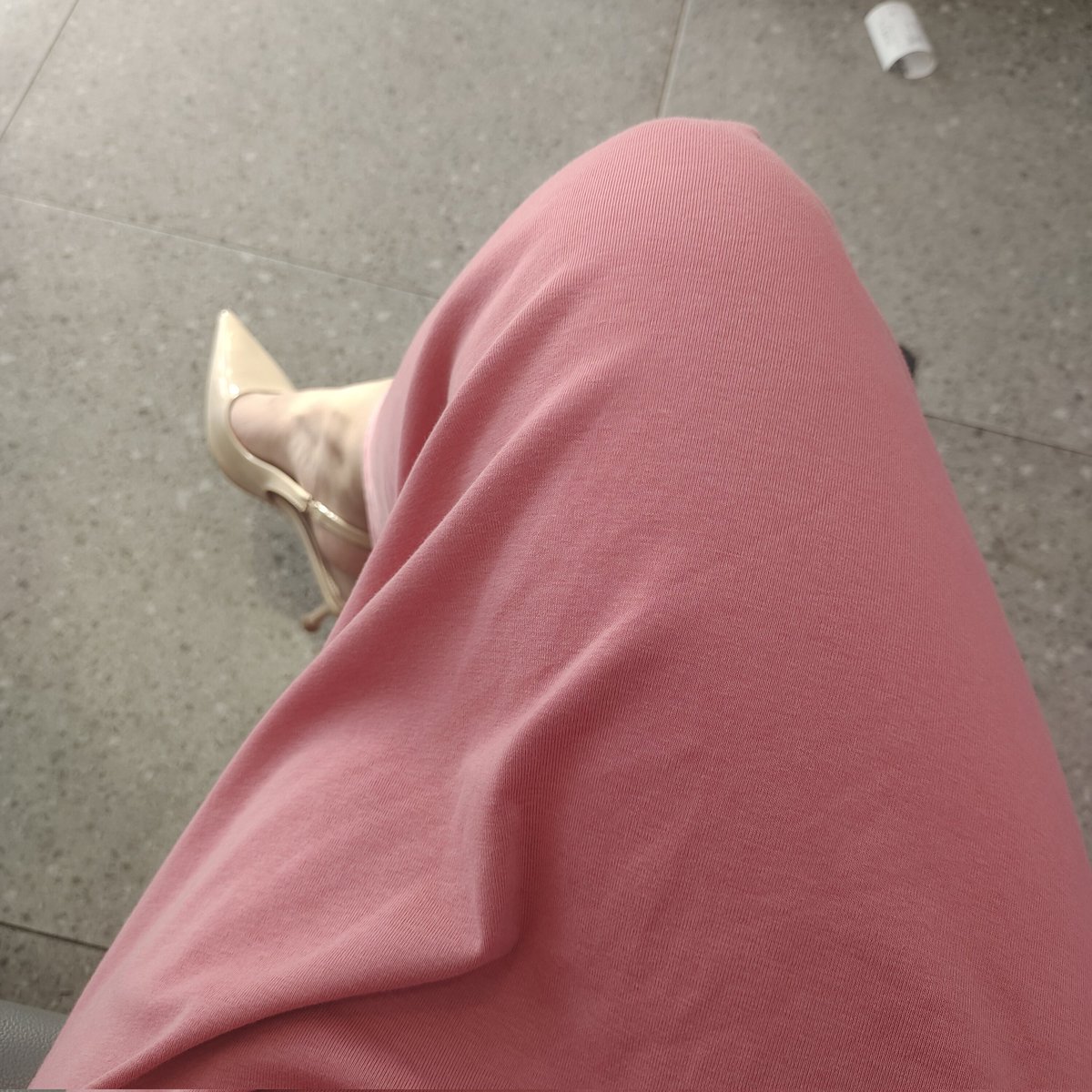 小狗观测日记 tweet media