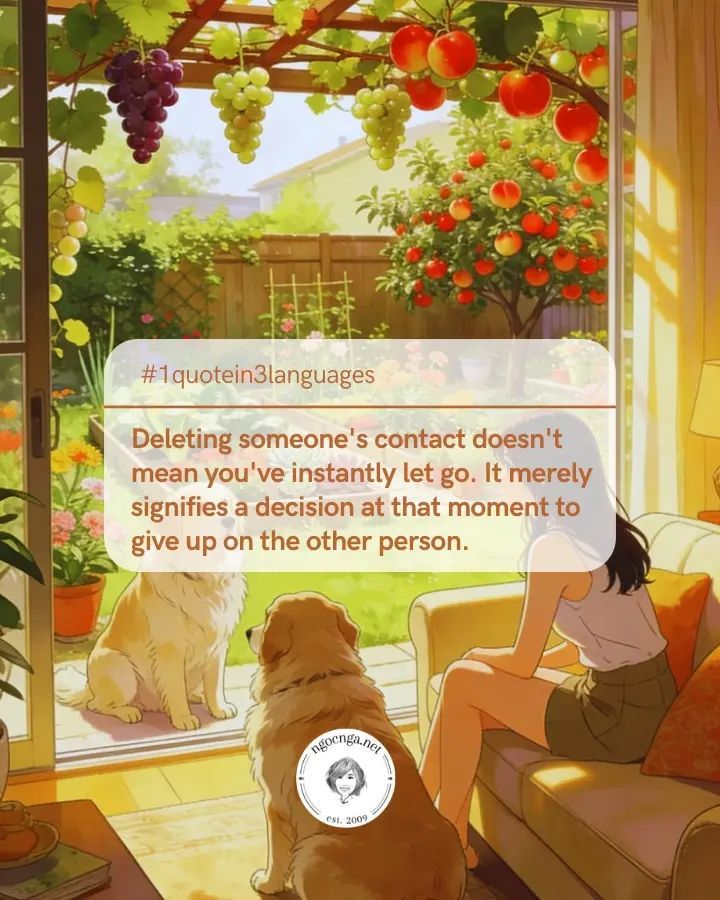 ngocngadotnet's tweet image. 📱✂️💔 #LettingGo #DigitalDetox #HealingTakesTime
Shān diào liánxì fāngshì bù dàibiǎo jiù néng lìkè fàng xià, zhège xíngwéi jǐnjǐn dàibiǎo zài nà yī kè, juédìng le yào fàngqì duìfāng.
---
#1QuoteIn3Languages #ChineseQuotes #DailyChinese #Pinyin #ChineseWords
Link in comment.👇