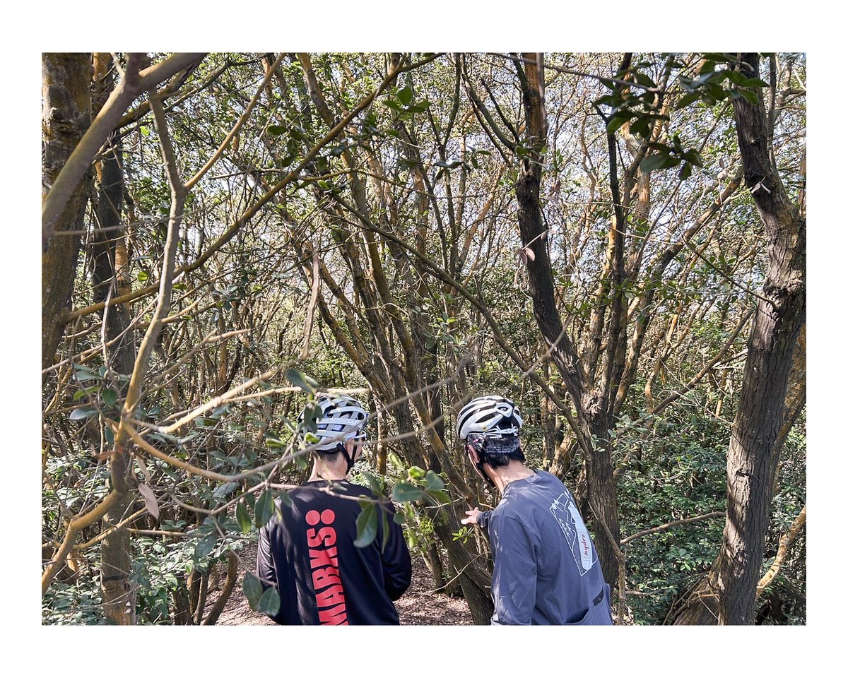 うどん tweet media