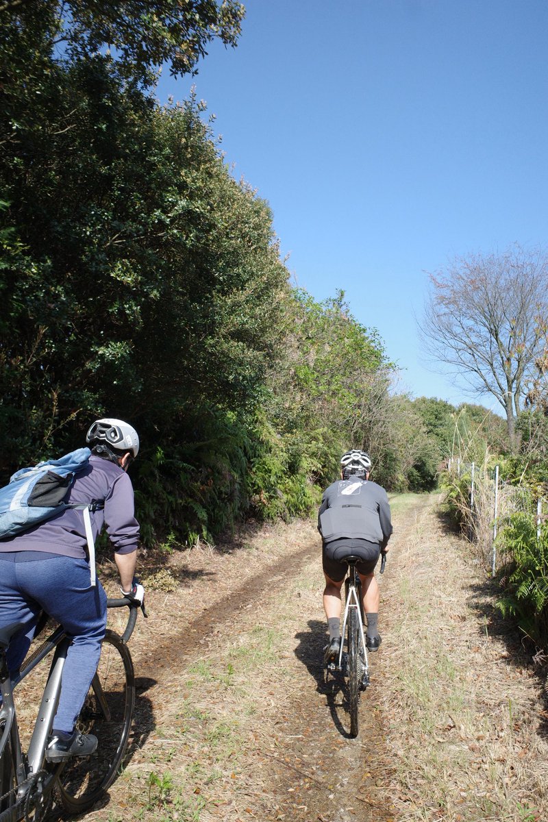 うどん tweet media