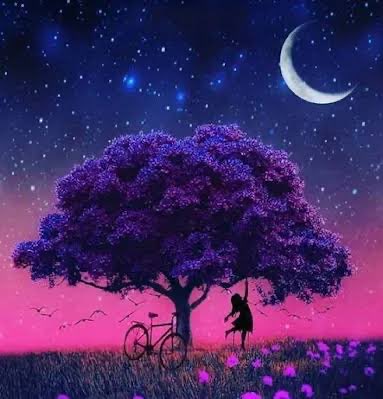 REEM ALI 🦋 tweet media