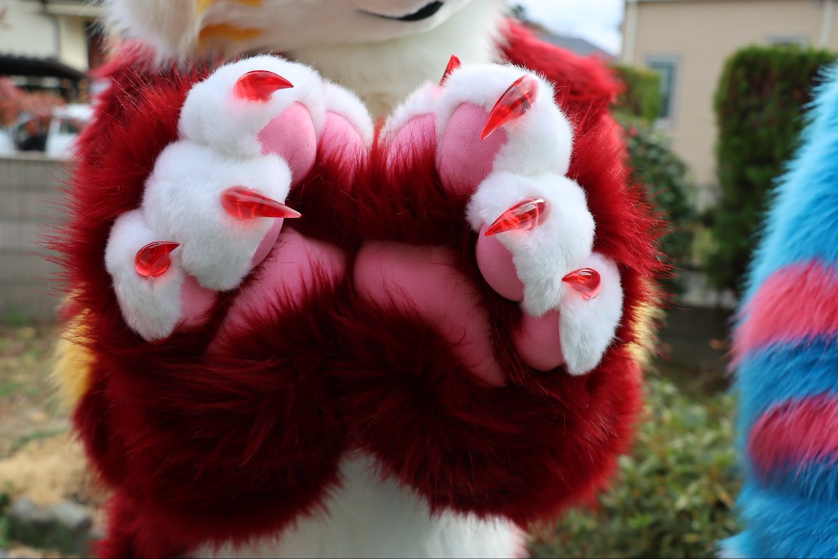 ラルフォーとリュケアとマヴロス tweet media