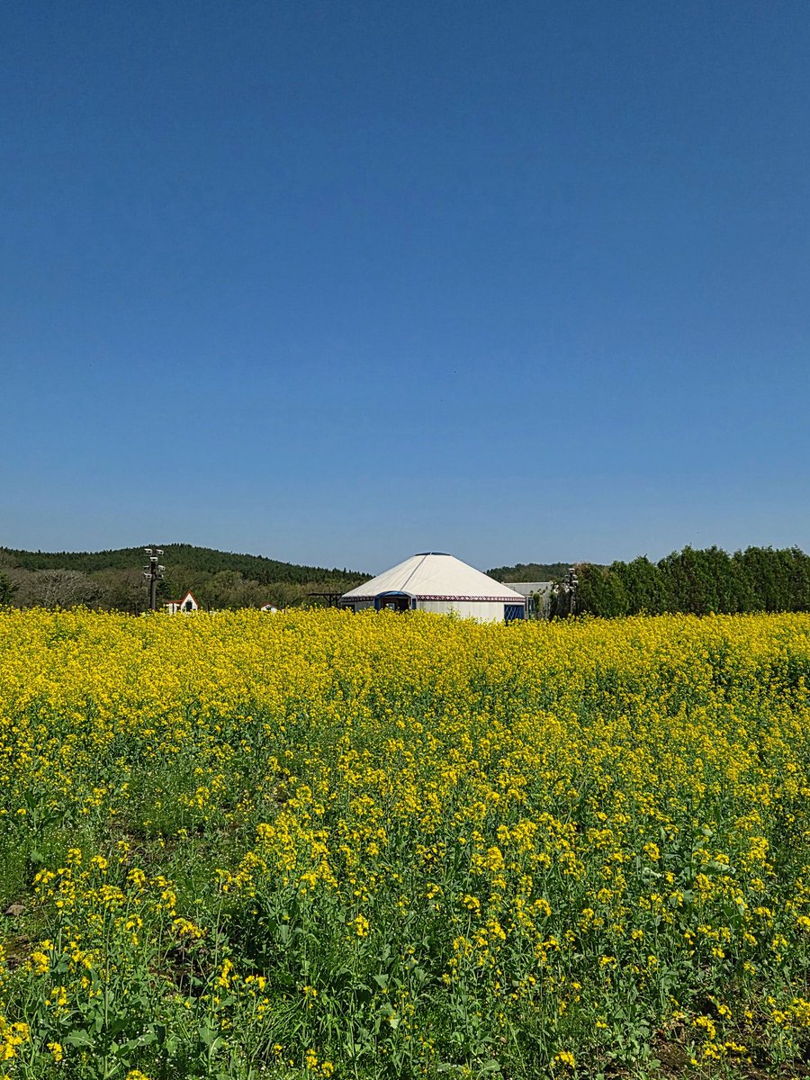 🅹🅺 tweet media