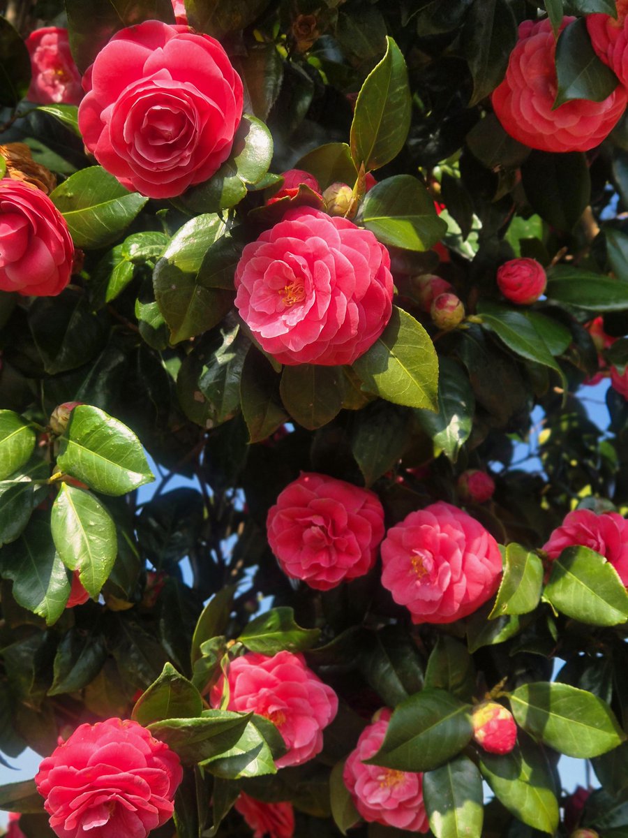 🅹🅺 tweet media