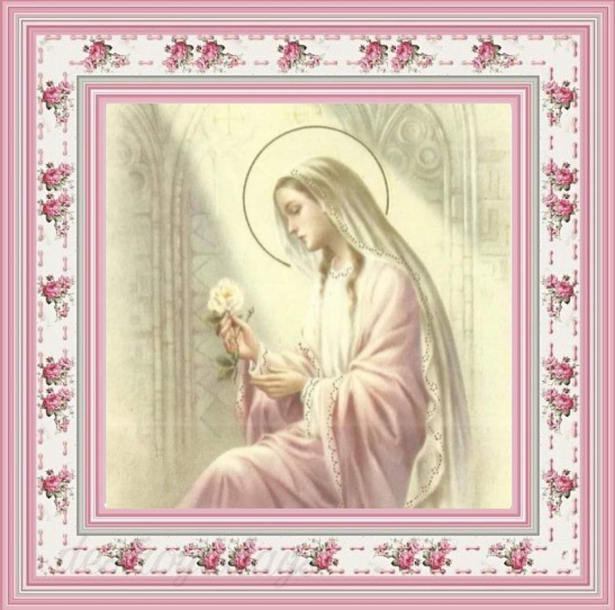 cristal marie🇻🇦 tweet media