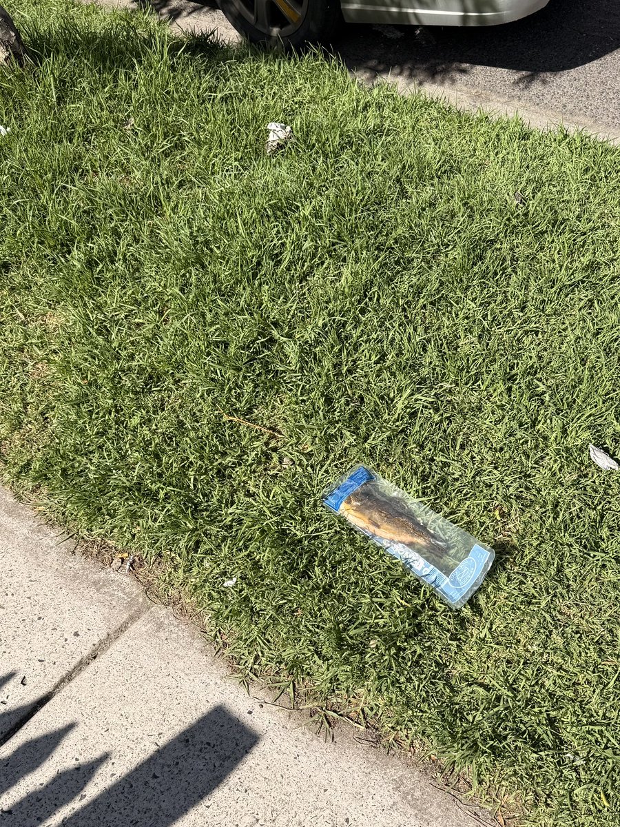 Maeve🦈🤍✨ tweet media