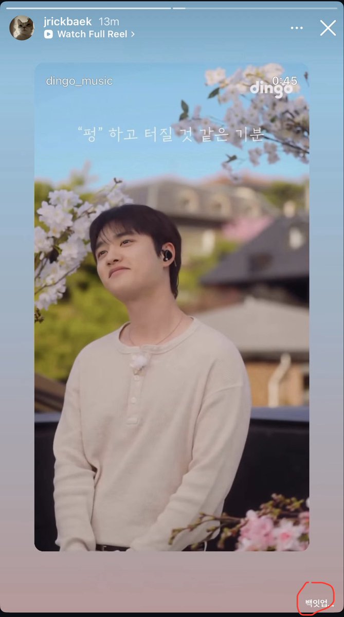 AraDan-L tweet media