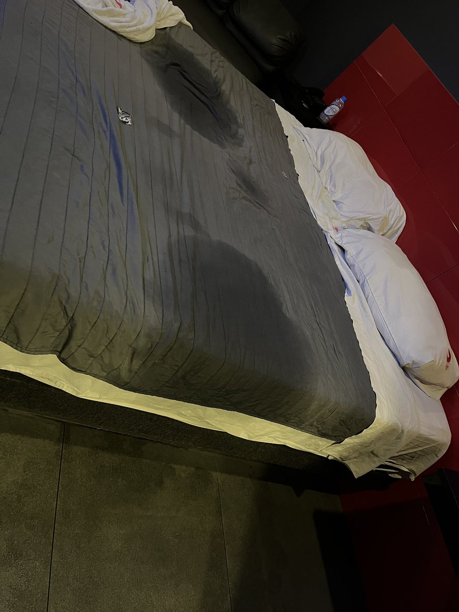 catyross tweet media