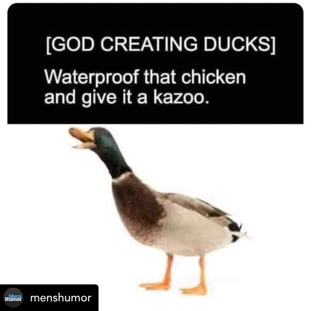 Father of Eckermonsters tweet media