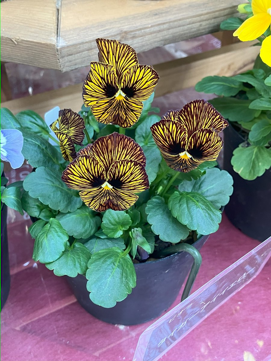 J:COM｜札幌エリア tweet media