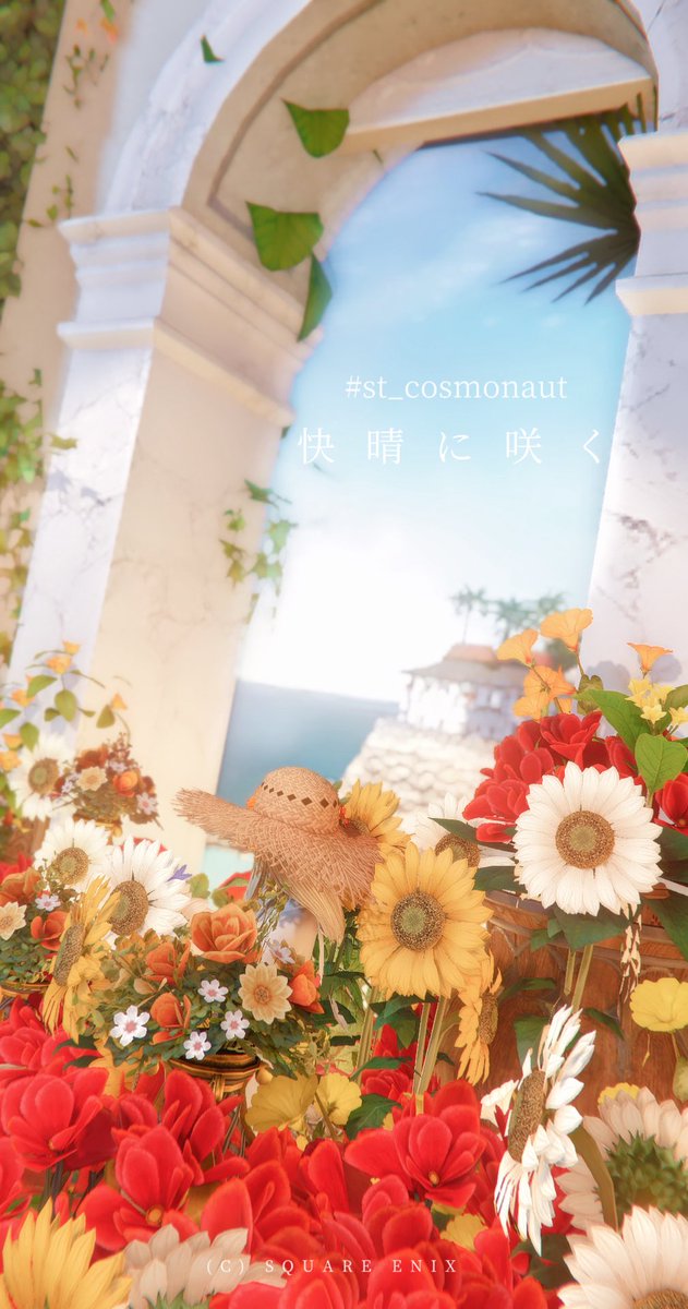 ステラノア tweet media