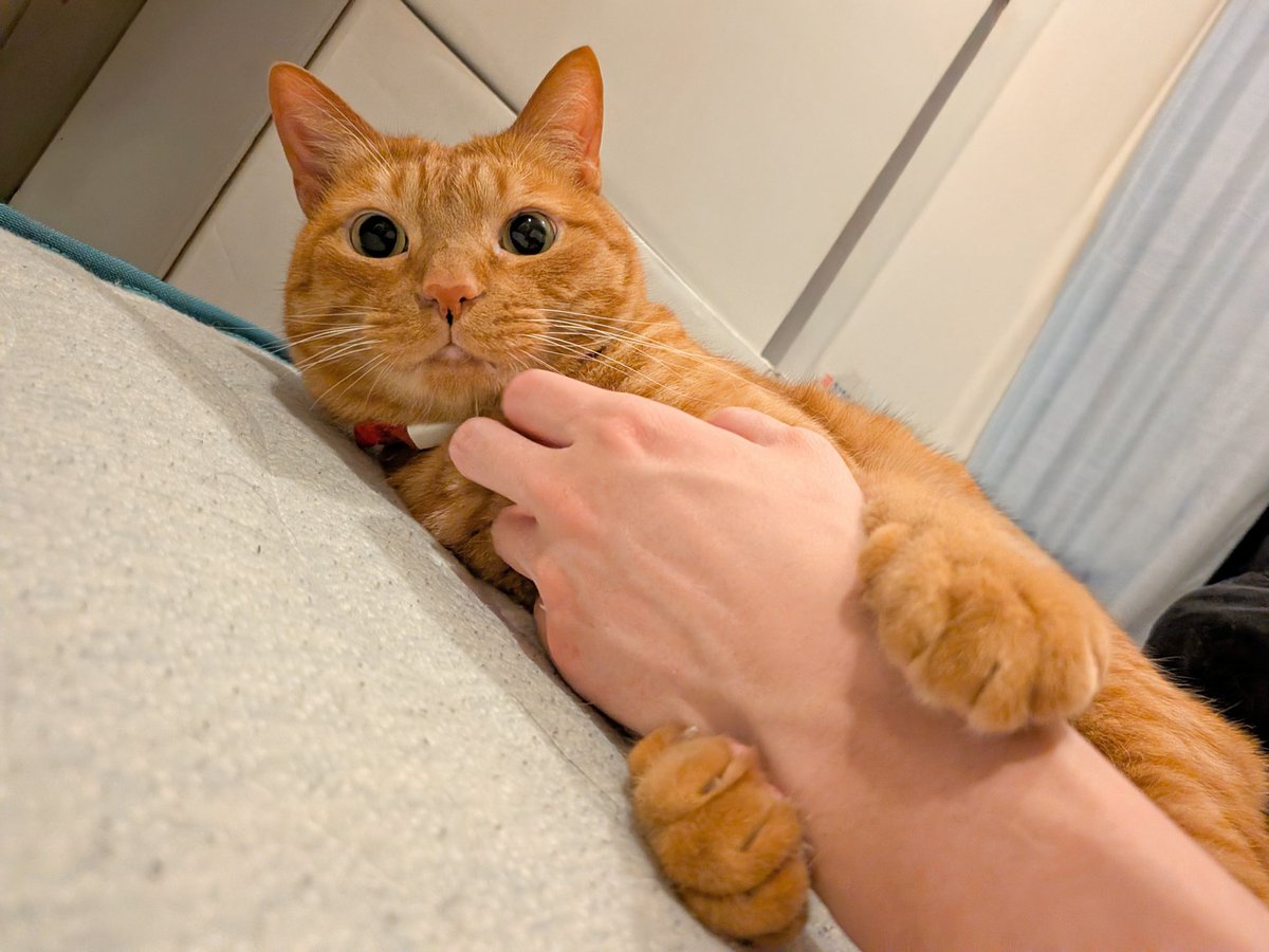 松丸 亮吾 🍥 tweet media