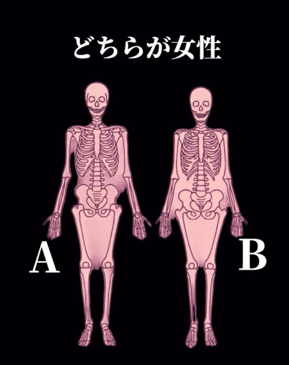 どく姉 tweet media