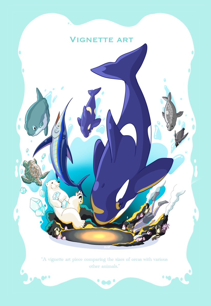 Eico シャチ💙 実物大でシャチ描きたい！ tweet media
