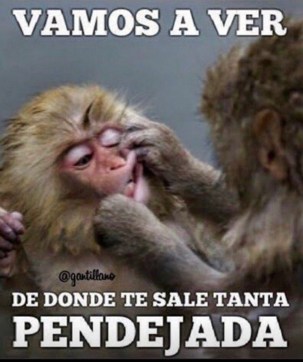 MARTINCIOO tweet media