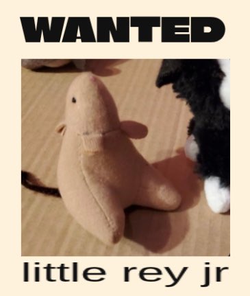 𝒻𝓇𝑒𝒶𝓀𝓎 rey 🚯 tweet media