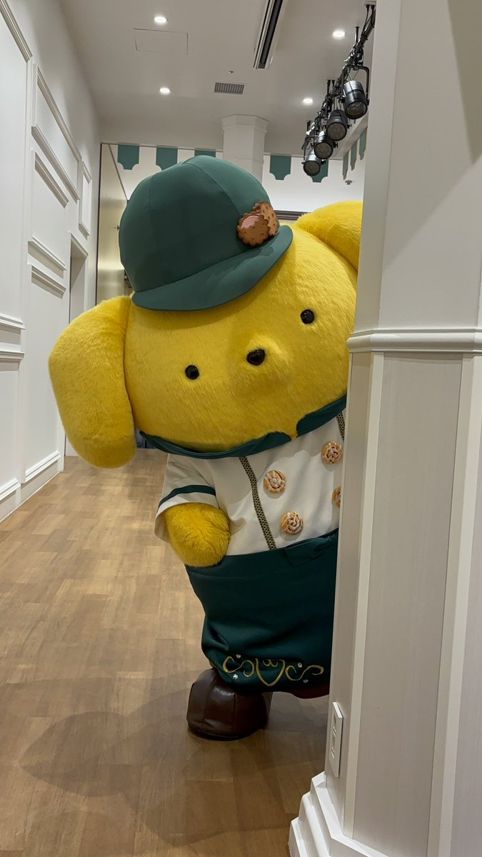 佐藤エリザベス tweet media