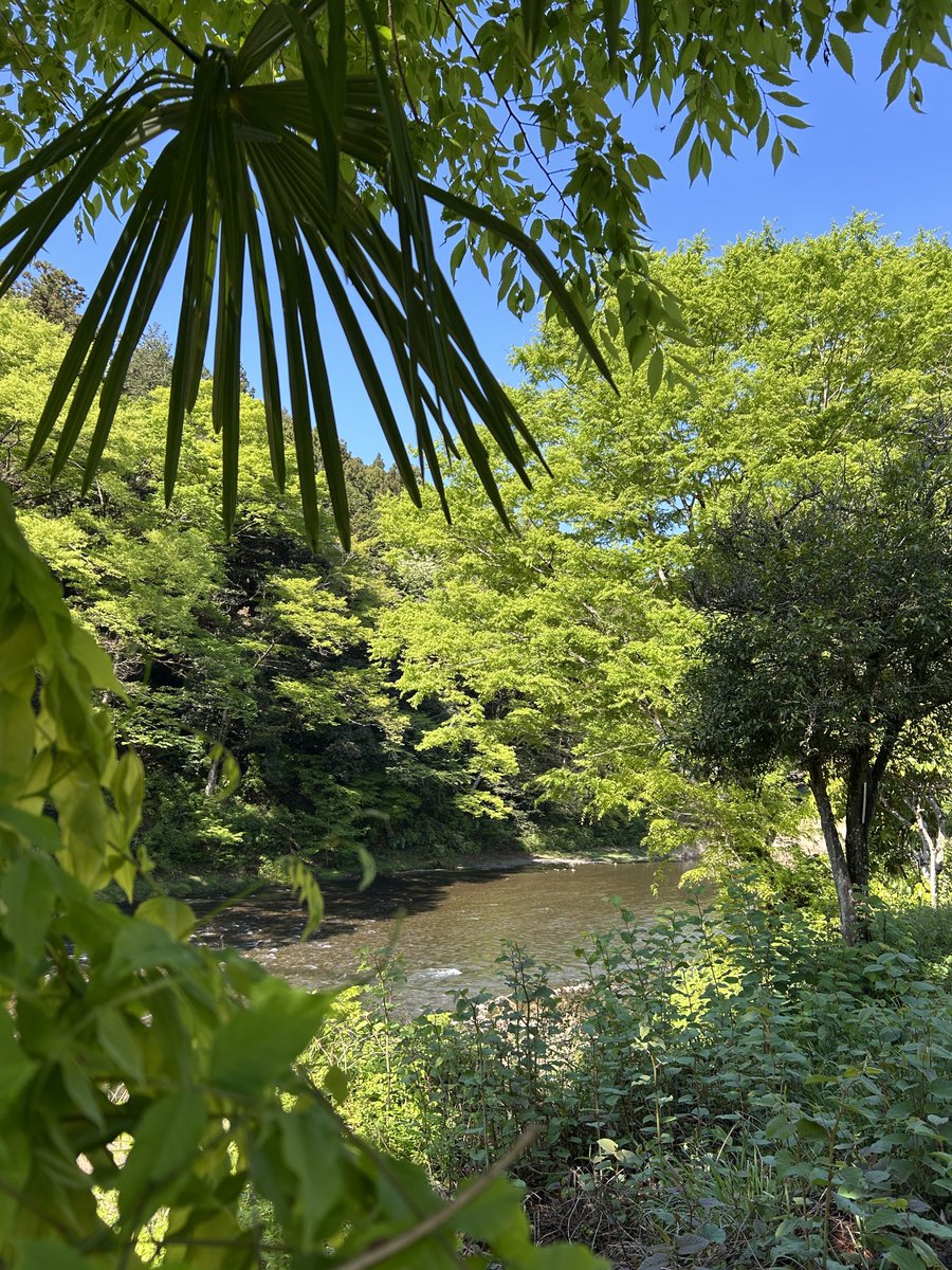 ちゅんた tweet media