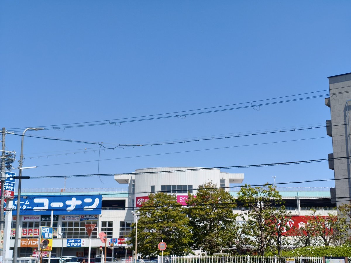 ふさお155xsr@ぷこ主 tweet media