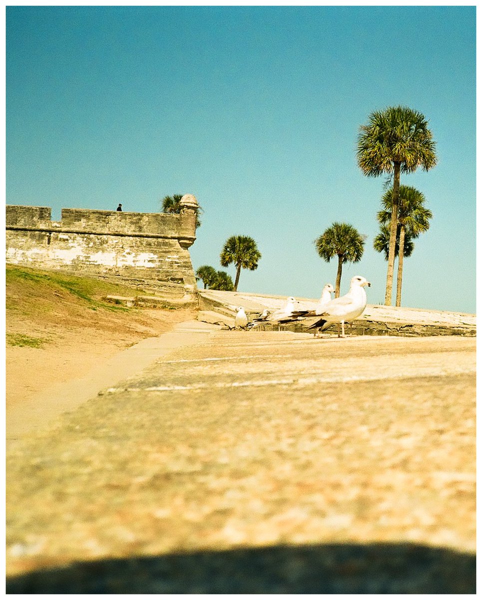 Teddy Juras tweet media