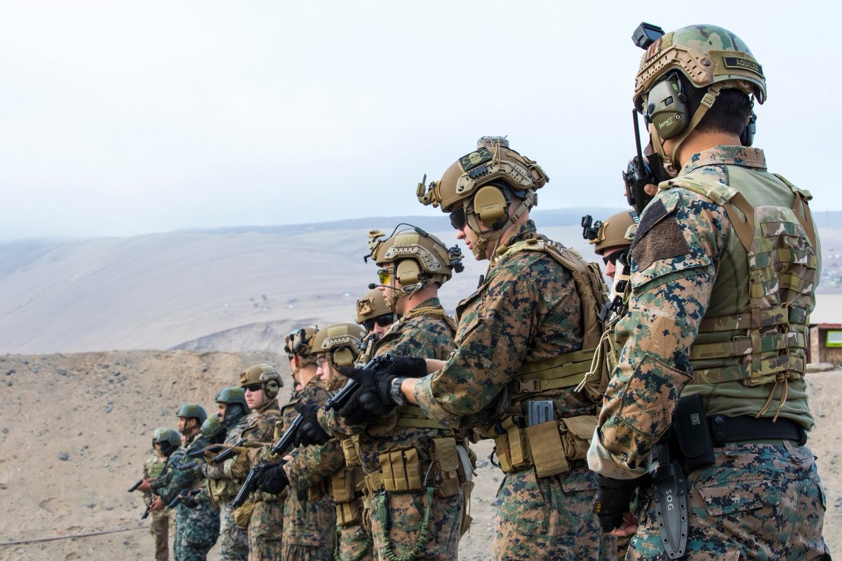 Pat 🌲🇺🇸 tweet media