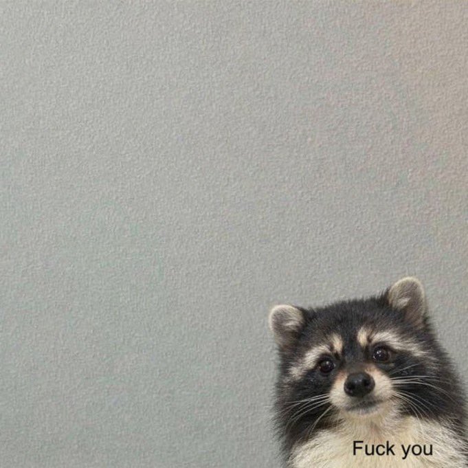 The Merthyr Ninja tweet media