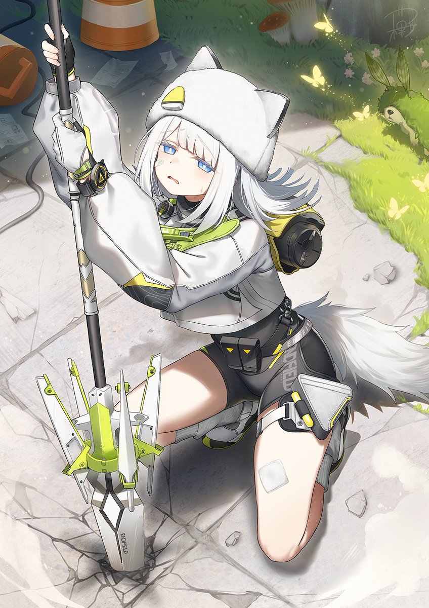 和菓子🍡 tweet media