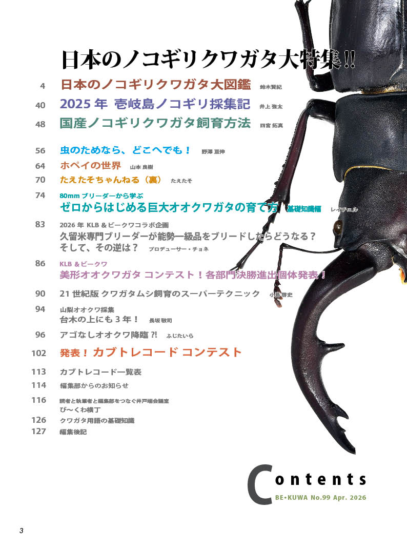 むし社 tweet media