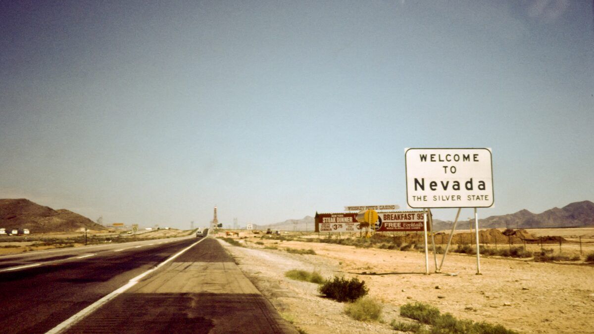 Stockhead tweet media