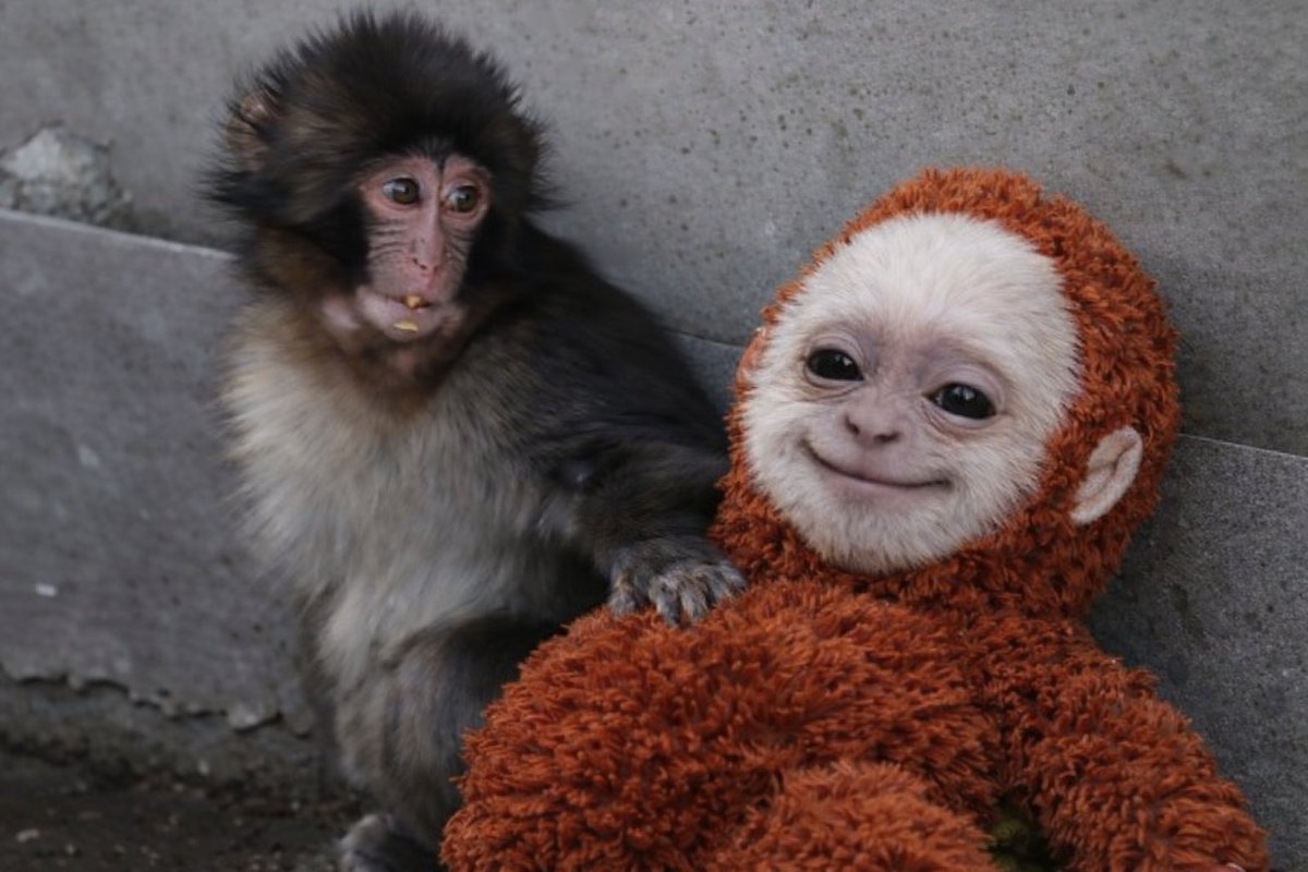 Blockbuster tweet media