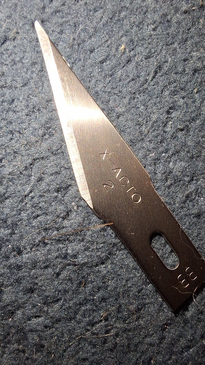 wıłl ɓyɛrṣ ⋆˚꩜.ᐟ øf·shtwt tweet media