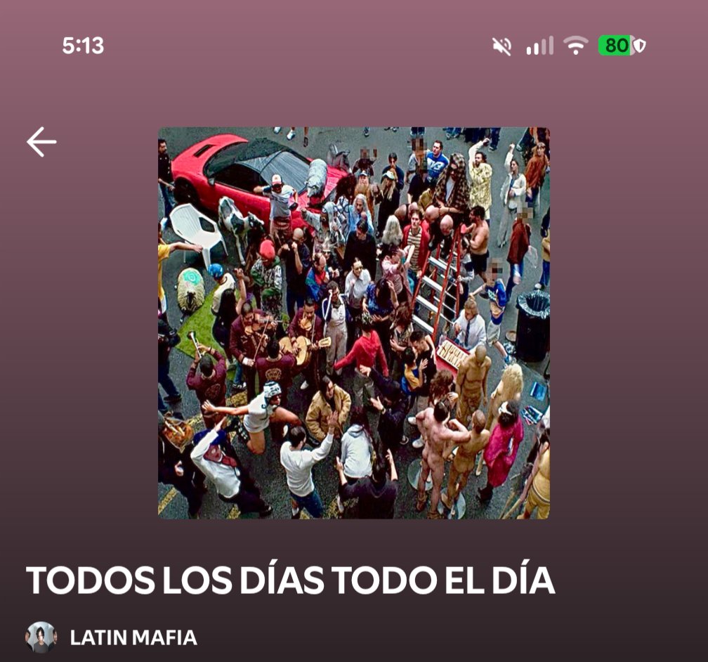Tigre 🐯 tweet media