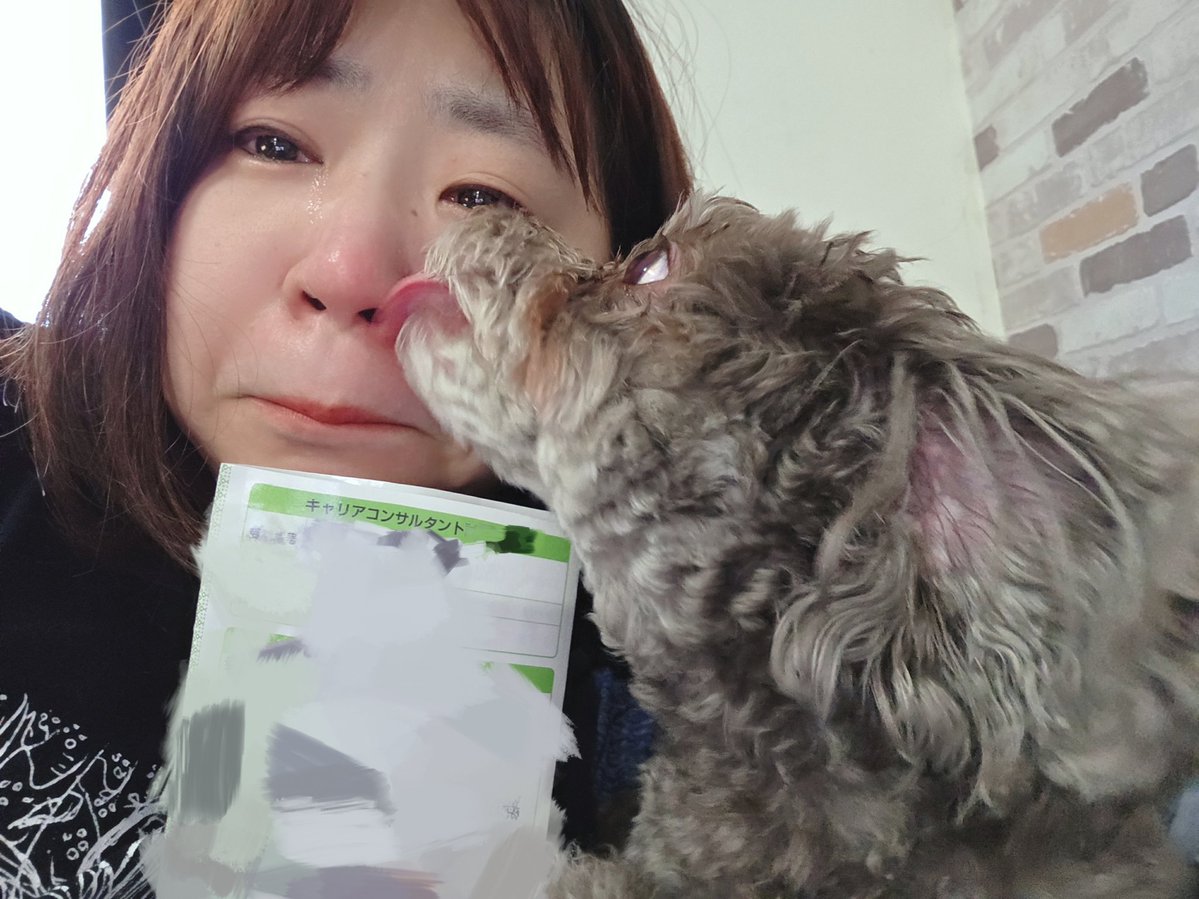 くすむらしほ🐼🐾 tweet media