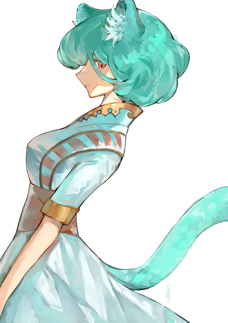 爾冬⭐星域 tweet media