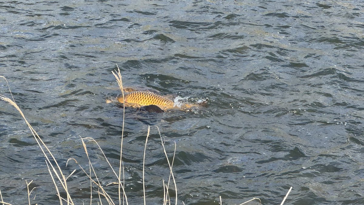 香𖤣𖥧𖥣𖡡𖥧𖤣 tweet media