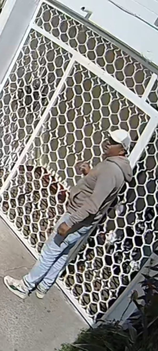 Carlos A.López Díaz tweet media