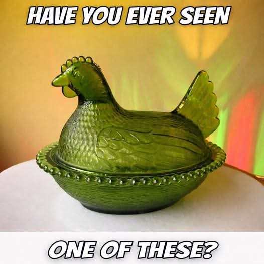 Elizabeth❣️ tweet media