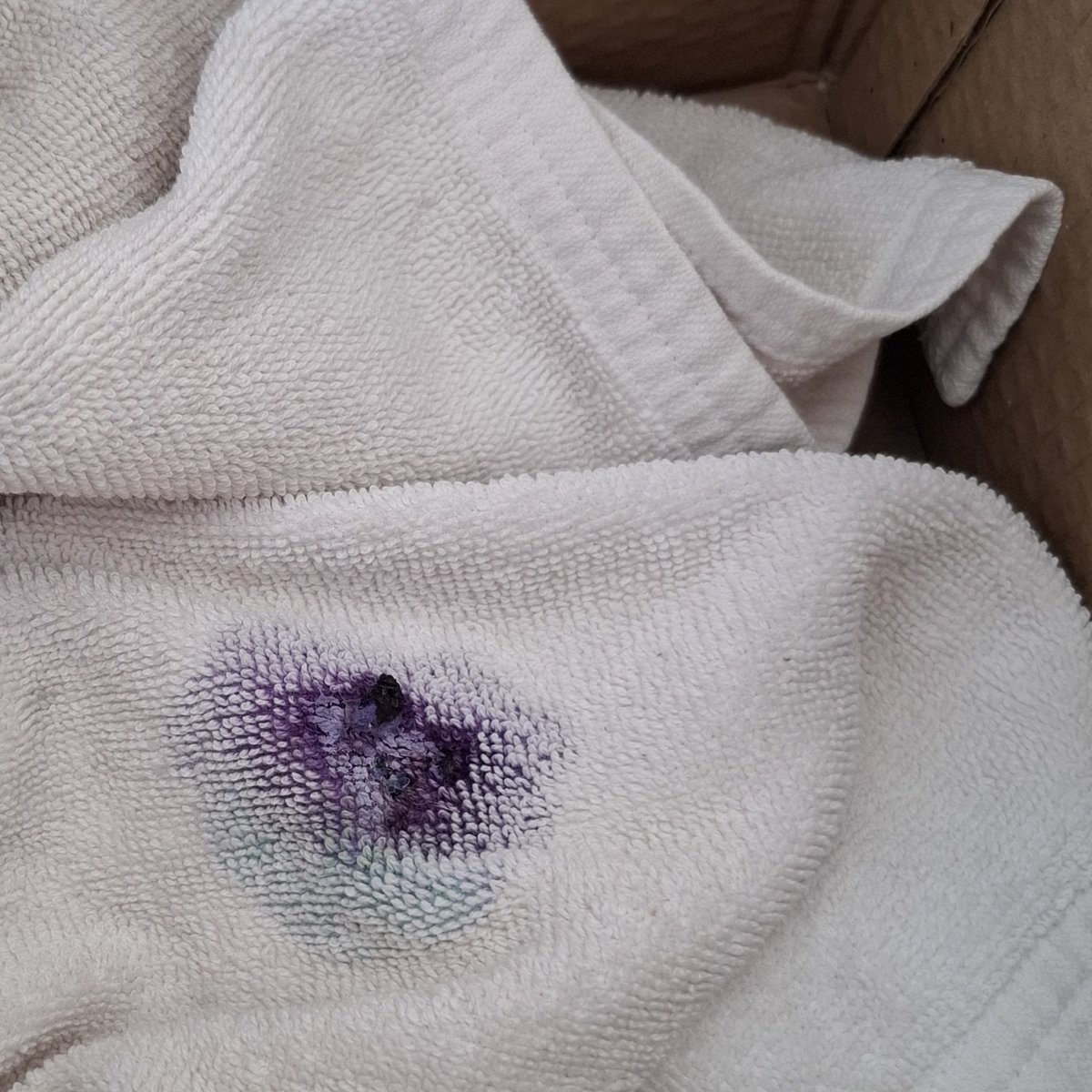 COOKIE ❤ P E C K Y ที่สุดในโลกเล้ยยย tweet media