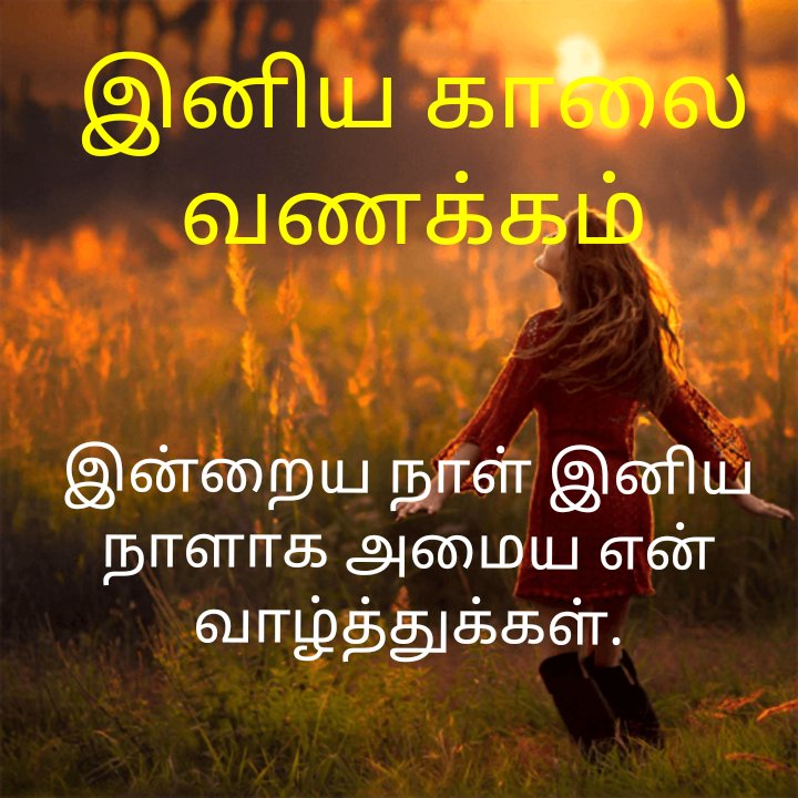 மெர்வின் ஜாய் tweet media