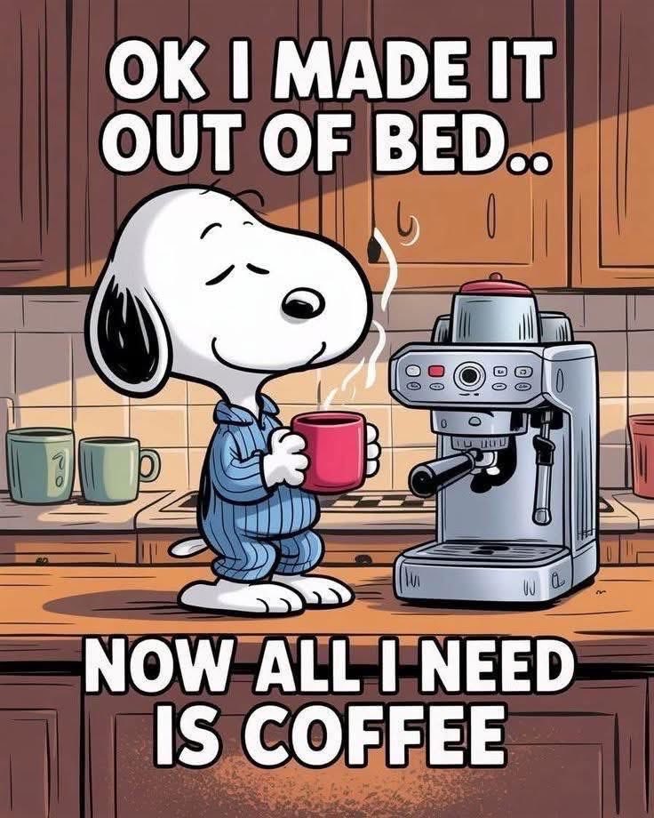 Babs ⛑️🩺 tweet media