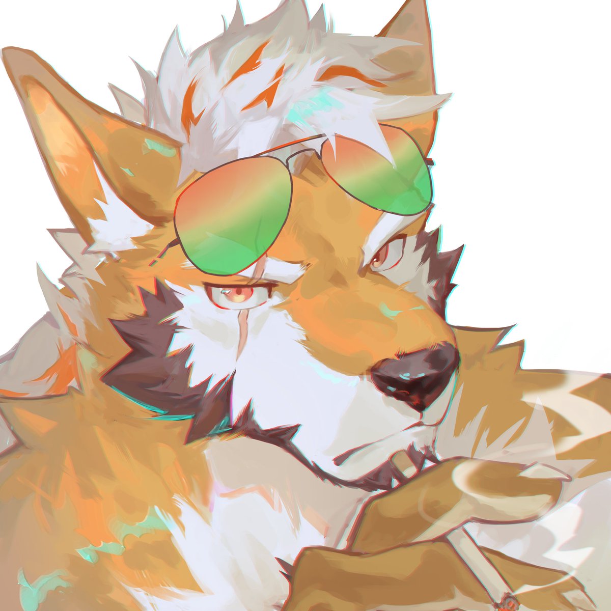 Niconer wolf tweet media