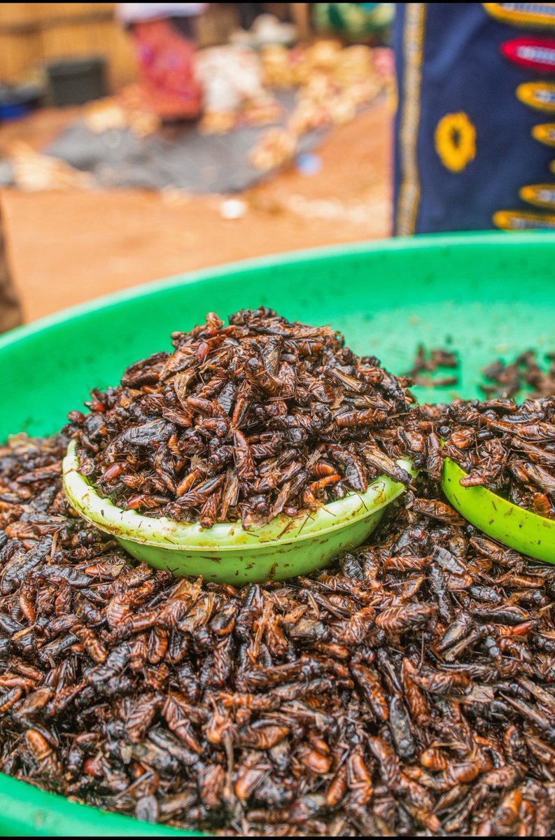 The DON 🌐 tweet media