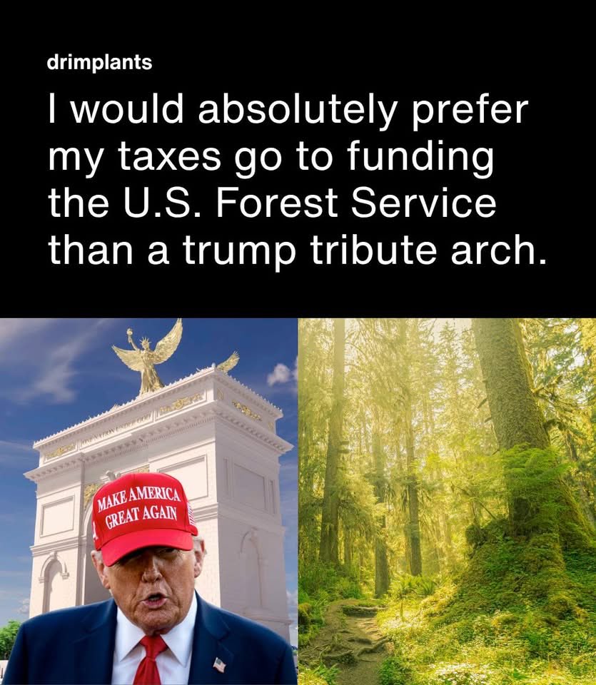 Roman Godzich tweet media