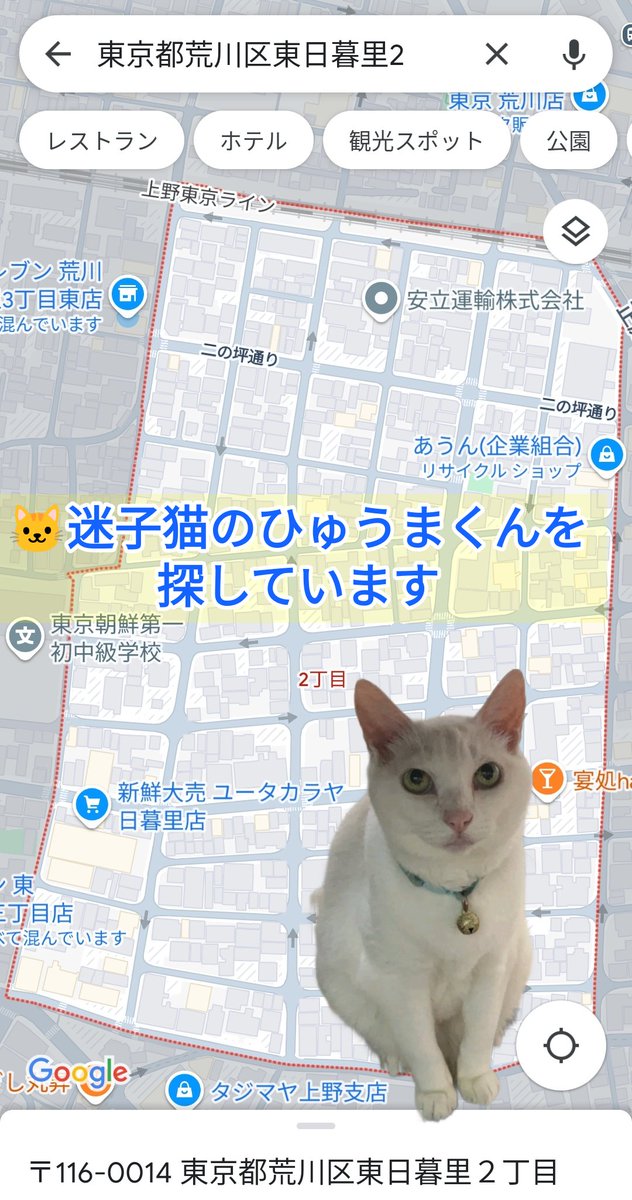 🐱🐊💐うずかわ藍苑(あいおん) #TheAlphabetGang🏳️‍⚧️🏳️‍🌈 tweet media